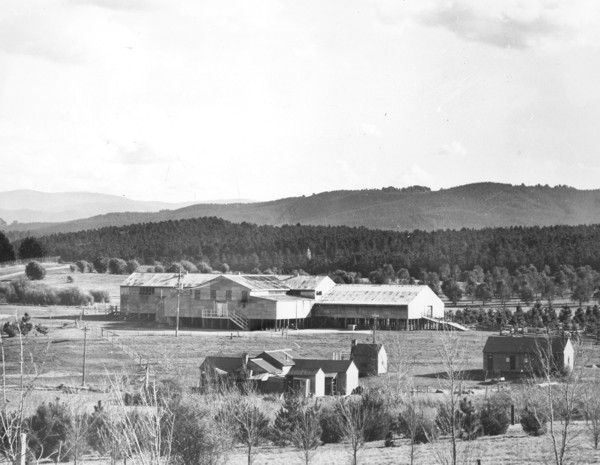 Yarralumla Woolshed