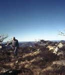 Namadgi National Park