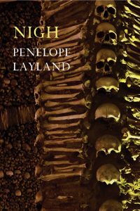 Nigh book cover